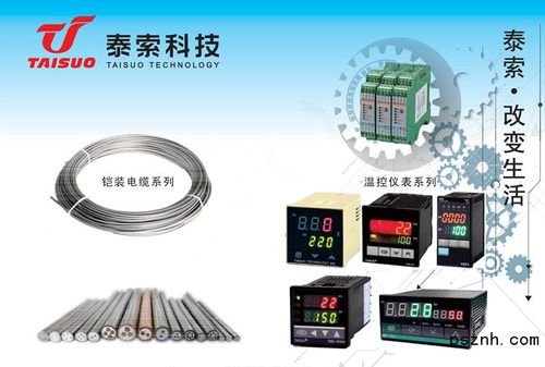 浙江泰索科技 智能感知驅(qū)動未來，物聯(lián)網(wǎng)科技點亮行業(yè)革新